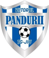 Viitorul Pandurii